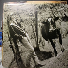 Daryl Hall – Three Hearts In The Happy Ending Machine - pikkukuva 3