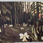 Pääsiäisen tähtiä - narsisseja metsässä, maal.mukaan p. 1911 - pikkukuva 1