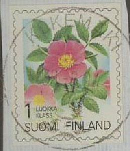 1994 1.lk Karjalan ruusu loisto KOKEMÄKI