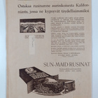 Suomen kuvalehti 12/1924 - pikkukuva 2