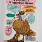 A Dictionary of American Idioms - pikkukuva 2