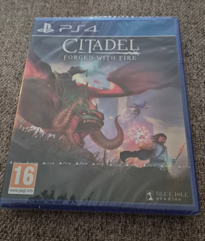Citadel - Forged with Fire ps4