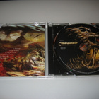 Striker - Armed To The Teeth (CD) - pikkukuva 3