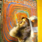 Pierre Restany: HUNDERTWASSER ( Sis.postikulut ) - pikkukuva 1