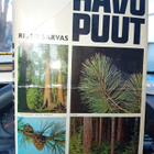Risto Sarvas : Havupuut  ( 1p. 1964 ) Sis. postikulut - pikkukuva 2