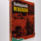 Briitta Simpson : Unelmajunalla Meksikoon - pikkukuva 1