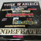 LITTLE STEVEN - VOICE OF AMERICA LP NIMMARILLA - pikkukuva 2