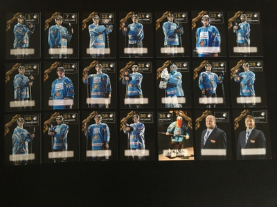 10-11 Pelicans Team Issue kortteja