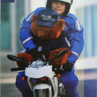 kortti °/* Suomalainen poliisi - erilaisia - pikkukuva 1