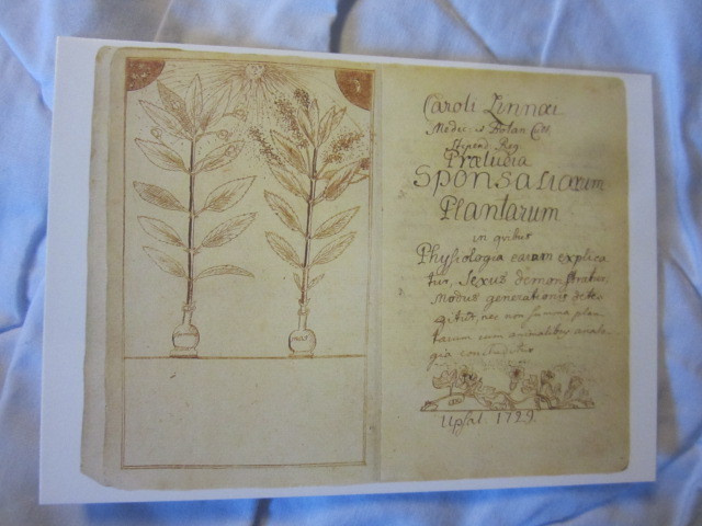 Carl Von Linné Praeludia sponsaliarum plantarum (1729)