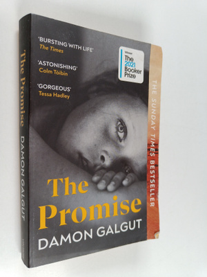 Damon Galgut : The promise