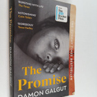 Damon Galgut : The promise - pikkukuva 1