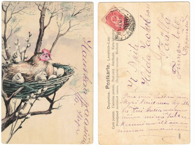 Vanha kortti, kana ja tiput pesässä puun oksalla, v. 1908