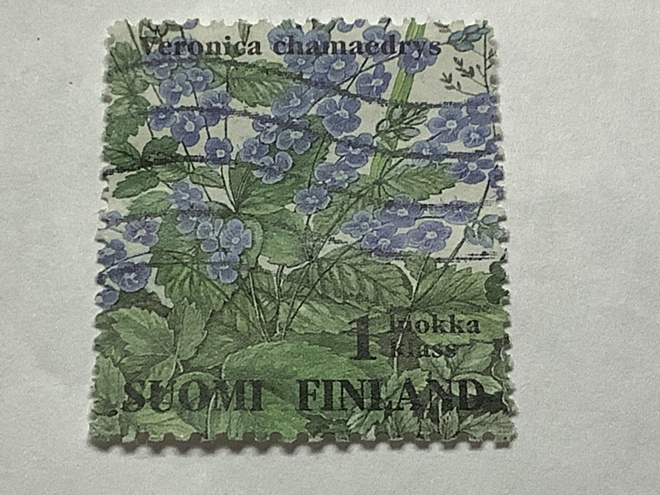 1257/ 1994 Ketokukkia 7/10 o leimattu