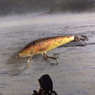 Rapala CD-5 - pikkukuva 2