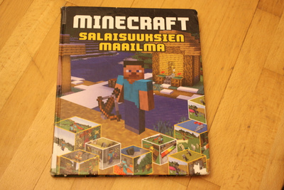 Minecraft Salaisuuksien maailma Y1