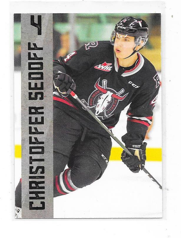 2019-20 Red Deers Rebels TeamIssued #4 Christoffer Sedoff