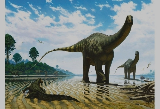 Demandasaurus darwini #3028