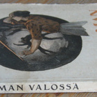 Henry Bordeaux: Salaman valossa, Wsoy 1921. 107 s. - pikkukuva 3
