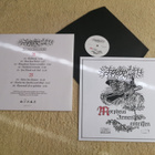 FLAMMENTOD - Morpheus Armen Entrissen LP - pikkukuva 2