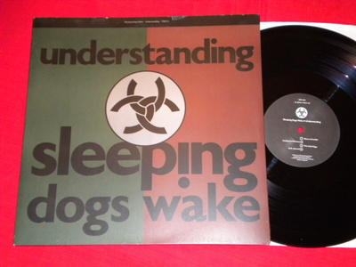 SLEEPING DOGS WAKE - Understanding - LP 1989 rock EX