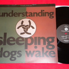 SLEEPING DOGS WAKE - Understanding - LP 1989 rock EX - pikkukuva 1