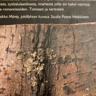 MATTI MÄKELÄ: KAKSI VAIMOA - pikkukuva 2