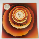 Stevie Wonder Songs in the Key of life Lp - pikkukuva 1