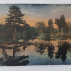 Mikkeli, järvi- ja metsänäkymä,  vanha väripk, p. 1908 - pikkukuva 1