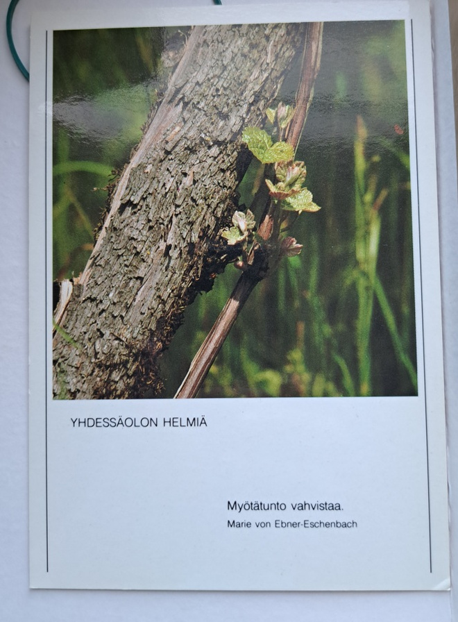 mietelmäkortti: kevään silmuja, uusi kortti
