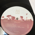 Juhani Aaltonen - Springbird LP (orig.) - pikkukuva 3
