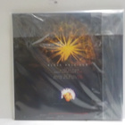 SOUNDGARDEN - BLACK HOLE SUN UUSI 10" 2014 - pikkukuva 2