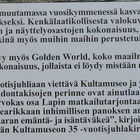 Mutterikämpästä koko maailman kultamuseoksi - pikkukuva 2