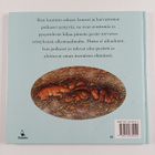 Sally Tagholm : Eläimiä luonnossa : kaniinit - pikkukuva 2