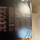 Guns N' Roses - The Spaghetti Incident? LP - pikkukuva 5