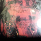 FLAME - MARCH INTO FIRELANDS LP UUSI - pikkukuva 2