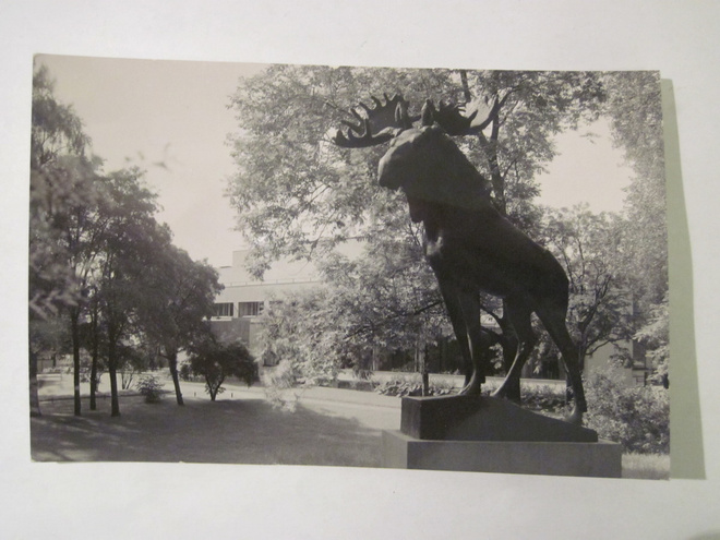 Postikortin Alkup.Mallikappale Viipuri 1920-l