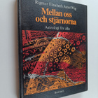 Rigmor Elisabeth Aster Wig : Mellan oss och stjärnorna : ... - pikkukuva 1