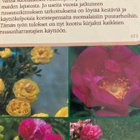 PETRI ALANKO: SUOMALAINEN RUUSUKIRJA - pikkukuva 2