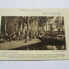AKS Honkien hoivissa * - pikkukuva 1