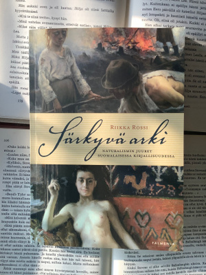 Riikka Rossi - Särkyvä arki (nid.)