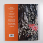Anni Korpela : Kaipauksen tuolla puolen - pikkukuva 2