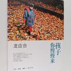 Long Ying Tai : Hai Zi Ni Man Man Lai - pikkukuva 1