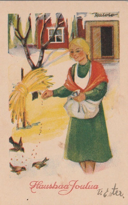 RAIVIO - LINTUJA RUOKITAAN