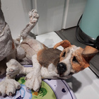Country Artists - Pair of Jack Russells - pikkukuva 2