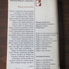 Georges Simenon: Maigret kanavasululla - pikkukuva 2