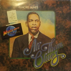 ELMORE JAMES - ALL THEM BLUES - GATEFOLD UK 1975 M-/EX+ 2LP - pikkukuva 1