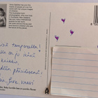 Anne Geddes, mehiläisvauva kukassa, kulkenut käsipostissa - pikkukuva 2