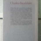 Charles Baudelaire - Pariisin ikävä (sid.) - pikkukuva 2