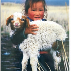 "MONGOLIAN TYTTÖ KILI SYLISSÄ"-KULKEMATON POSTIKORTTI - pikkukuva 1